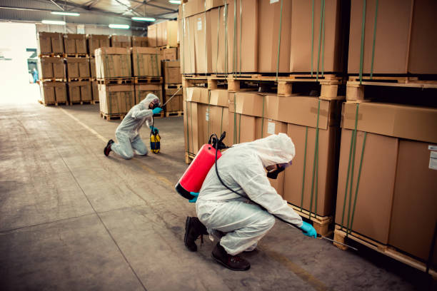 Best Affordable Pest Control Services  in Ipswich, SD