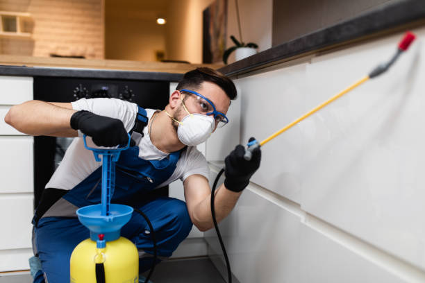 Best Residential Pest Control  in Ipswich, SD