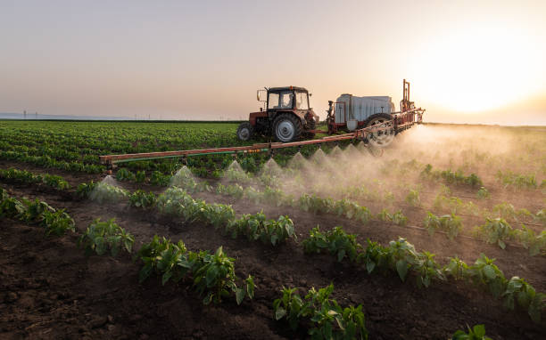 Best Insect Control  in Ipswich, SD