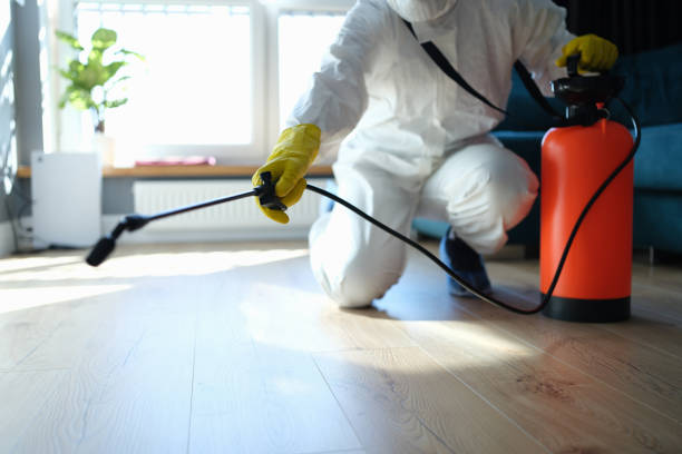 Best Exterminator Services  in Ipswich, SD