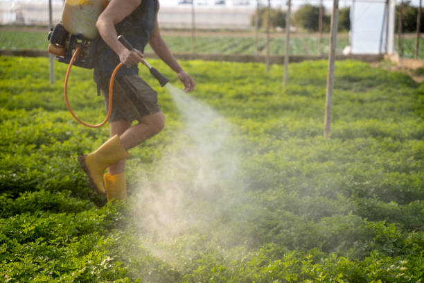 Best Pest Inspection Near Me  in Ipswich, SD