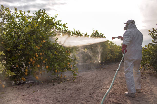 Ipswich, SD Pest Control Company