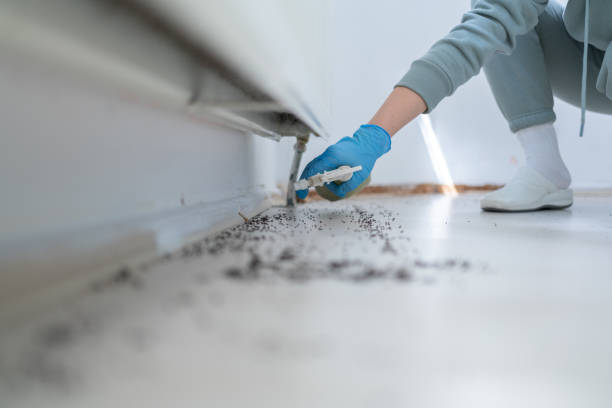 Best Commercial Pest Control Services  in Ipswich, SD