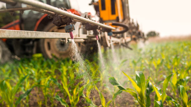 Best Ant Control Services  in Ipswich, SD